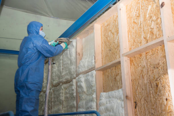Best Blown-in Insulation  in Sweetwater, FL